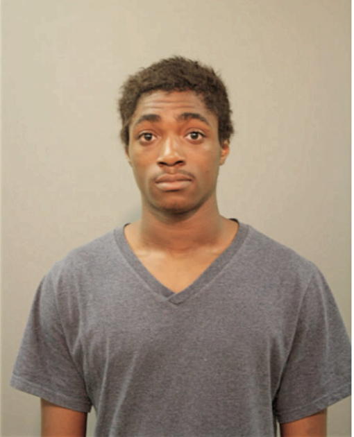 DEVONTAE B STEVISON, Cook County, Illinois