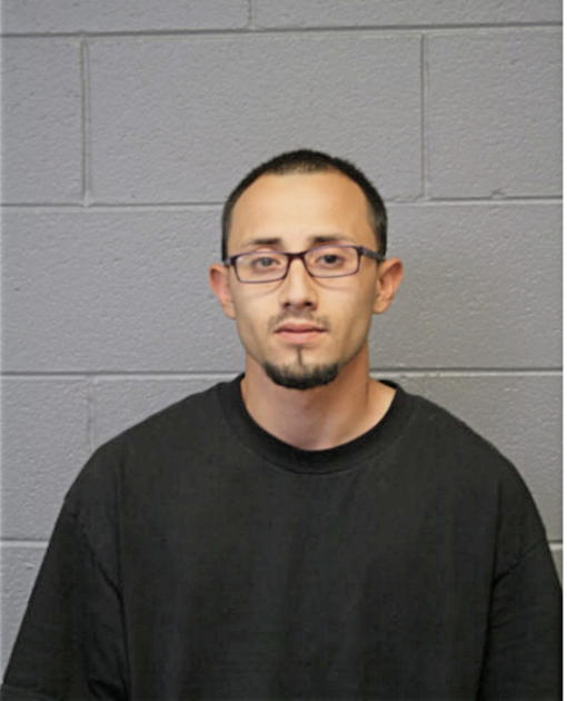 JAVIER LARES URBINA, Cook County, Illinois