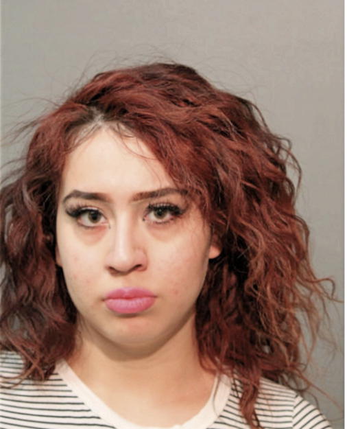 MICHELLE A ADAME, Cook County, Illinois