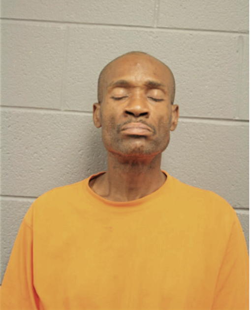 JOHNNY L AMES, Cook County, Illinois