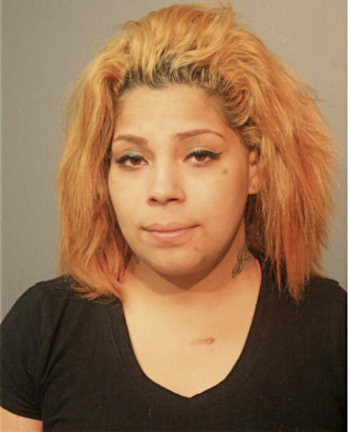 VIANCA ARROYO, Cook County, Illinois