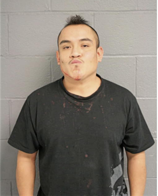 JESUS CASALES, Cook County, Illinois