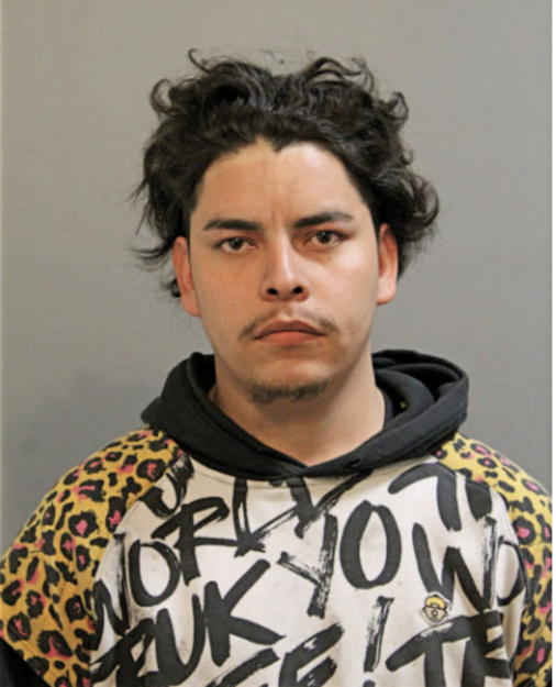 EDER L FLORES, Cook County, Illinois