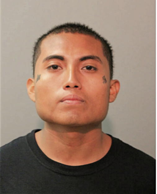 DAVID GONZALEZ, Cook County, Illinois
