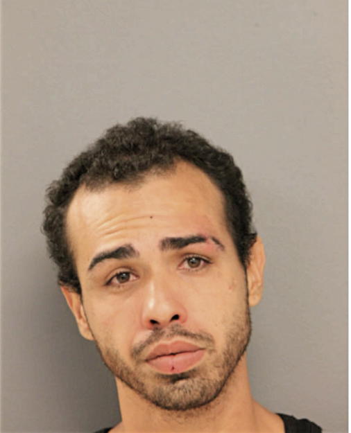 JUAN L HERNANDEZ-MEDINA, Cook County, Illinois