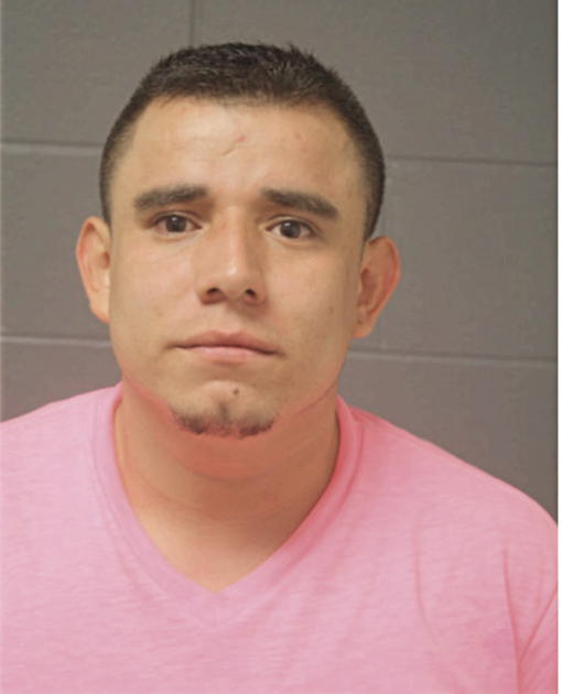 VICTORINO P HERNANDEZ, Cook County, Illinois
