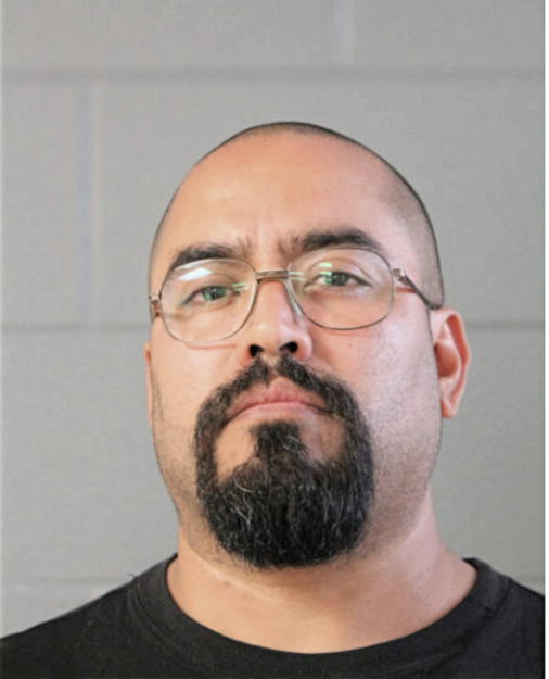 UBALDO LAGUNES, Cook County, Illinois
