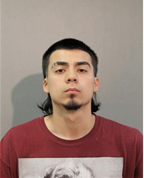 JULIUS LANDEROS, Cook County, Illinois
