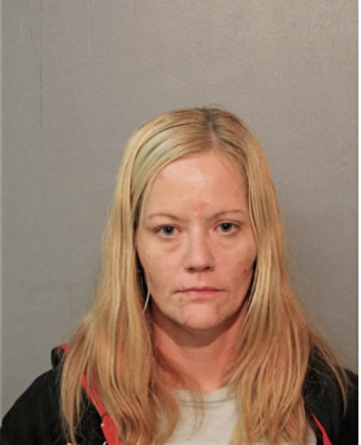 LINDSAY M LEVENHAGEN, Cook County, Illinois