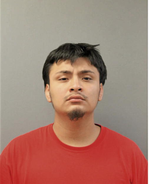 ALFREDO MARTINEZ, Cook County, Illinois