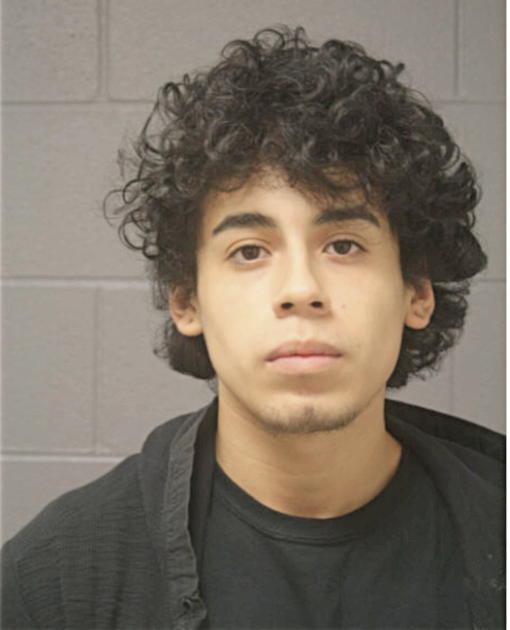 LEONEL MARTINEZ, Cook County, Illinois