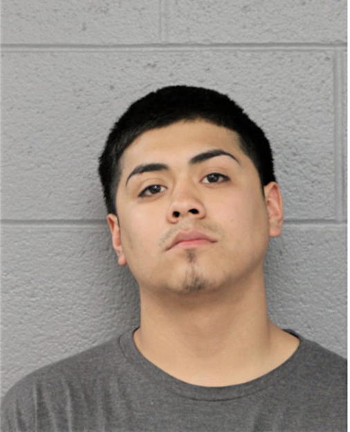 JONATHAN MENDOZA, Cook County, Illinois