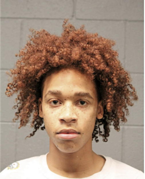 DEDRIC G MOSES, Cook County, Illinois