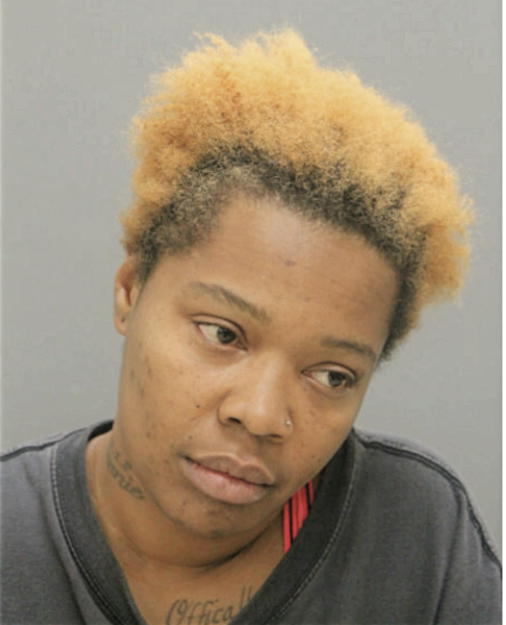 ERICA NELLEM, Cook County, Illinois