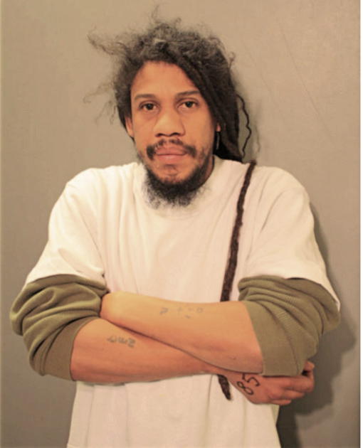 DENNIS D RENEAU, Cook County, Illinois