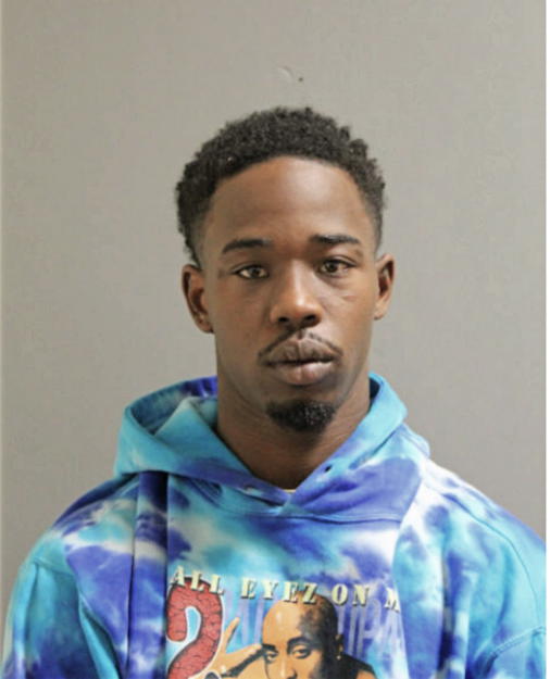 BRANDON L RUSSELL, Cook County, Illinois