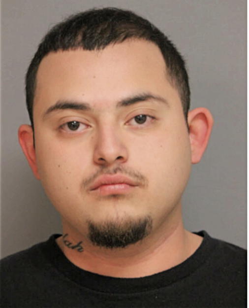 ENRIQUE SANCHEZ, Cook County, Illinois
