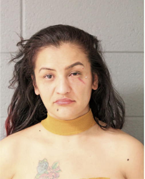 ALBA SEPULVEDA, Cook County, Illinois