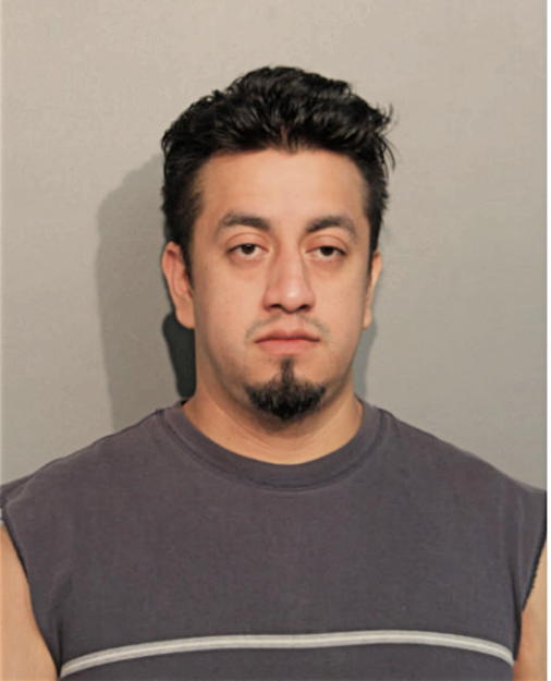 RODRIGO TRUJILLO, Cook County, Illinois