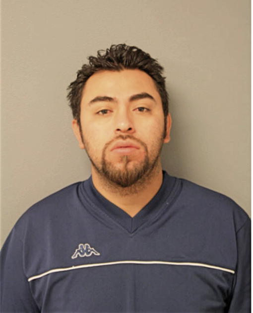 VLADMIR VARGAS, Cook County, Illinois