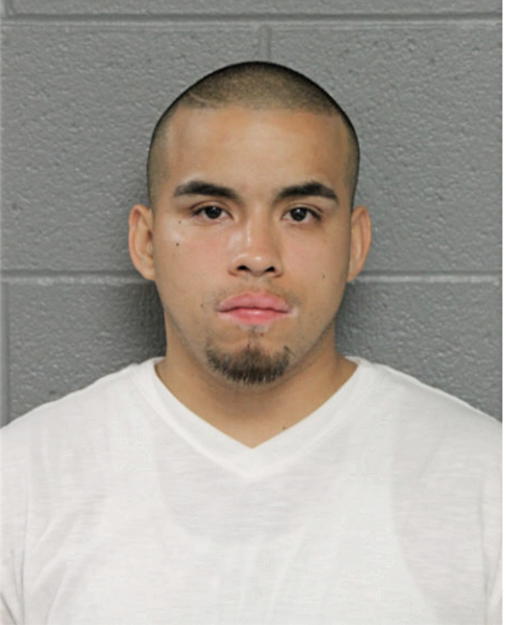 MARIO X VELEZ, Cook County, Illinois