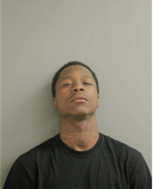 DADISI WILLIAMS, Cook County, Illinois