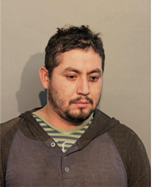 CATARINO MEDINA ALVAREZ, Cook County, Illinois