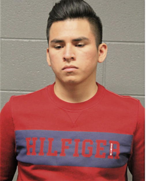 ELVIS ALVAREZ, Cook County, Illinois