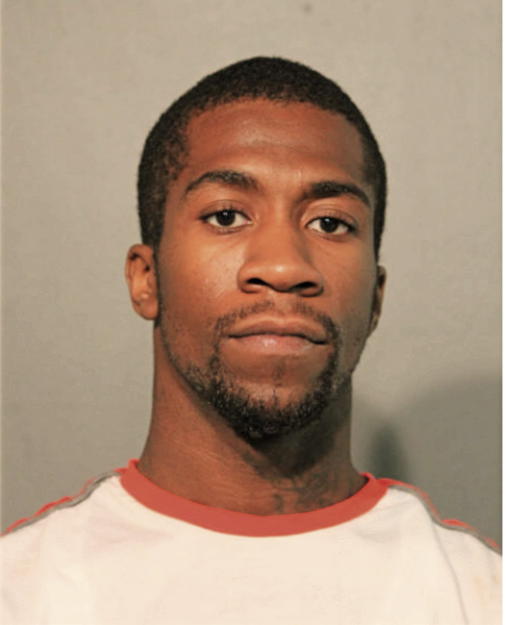 GAMAL A AMOS, Cook County, Illinois