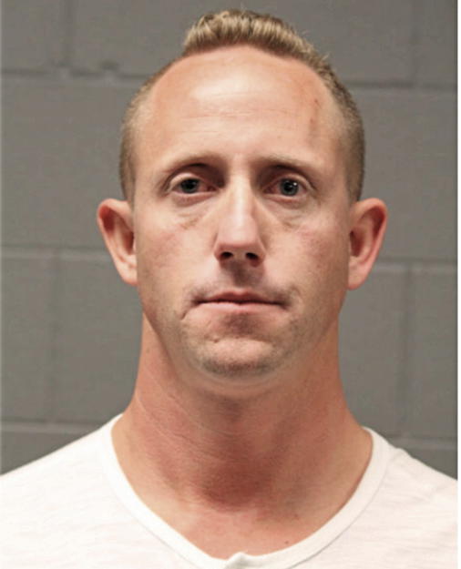 MICHAEL L CIGANEK, Cook County, Illinois