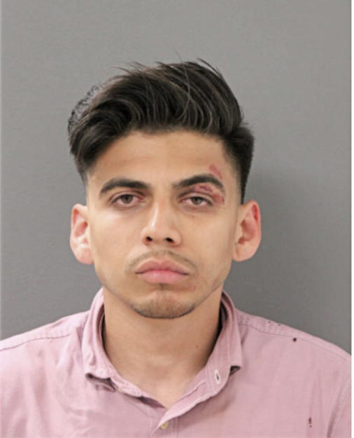AARON M DE LA CRUZ, Cook County, Illinois