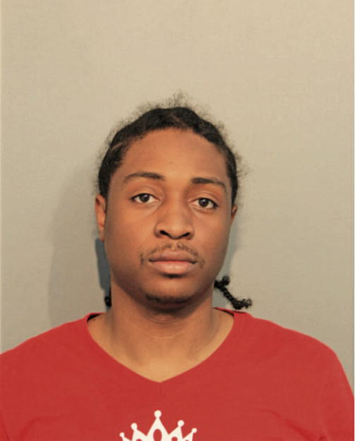 KEVIN L FLOWERS, Cook County, Illinois