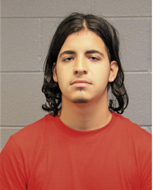 JOEL GONZALEZ, Cook County, Illinois