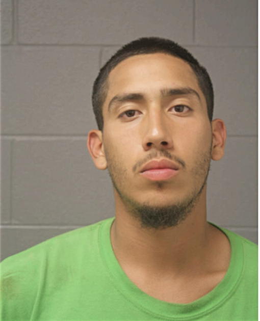 JESUS MEZA, Cook County, Illinois
