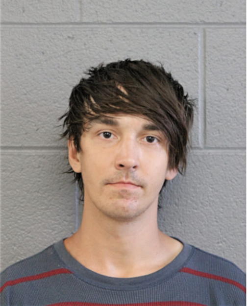 ANDY M PAPASTEFAN, Cook County, Illinois