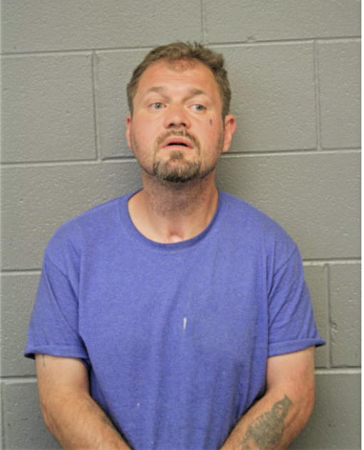MICHAEL J PERELKA, Cook County, Illinois