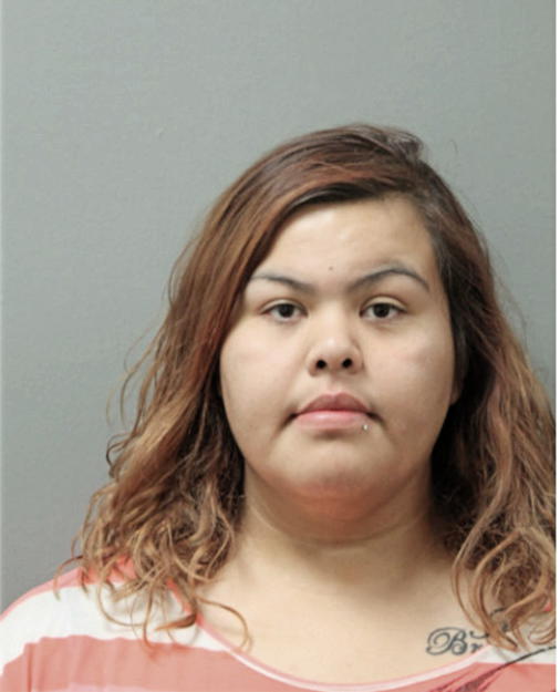 ROSA PEREZ, Cook County, Illinois