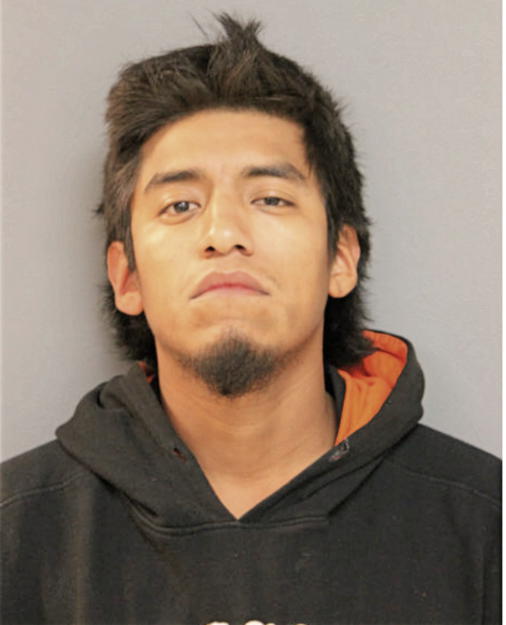 JESUS ROSENDO, Cook County, Illinois