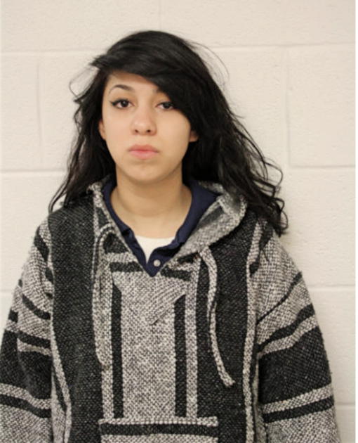 JENNIFER SCHMIDT, Cook County, Illinois