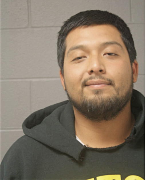 DAVID J ABARCA, Cook County, Illinois