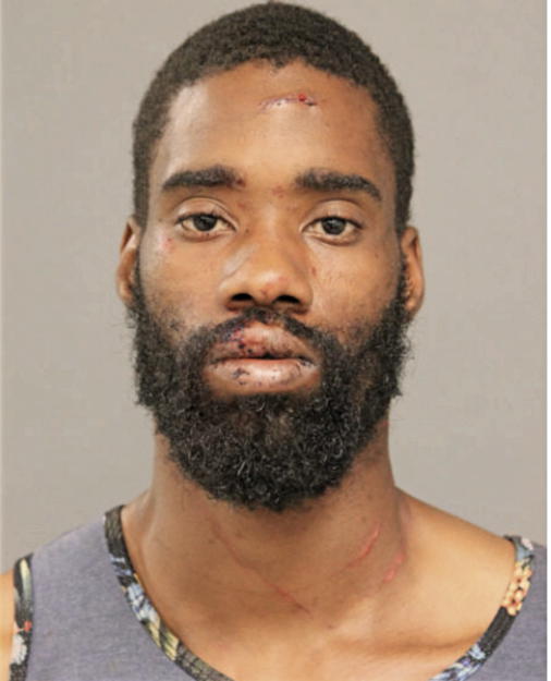 BRANDON D BOWENS, Cook County, Illinois