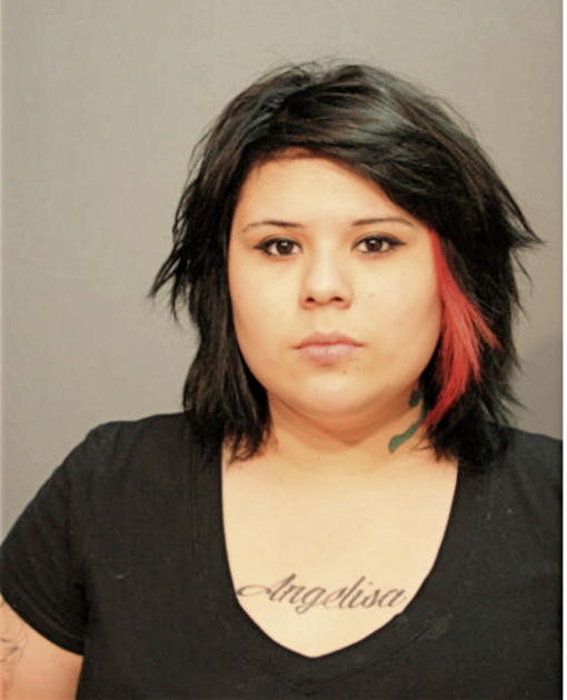 LORISSA L CAPPETTA, Cook County, Illinois