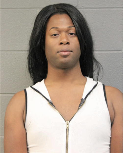 LAVANCE M CONNER, Cook County, Illinois