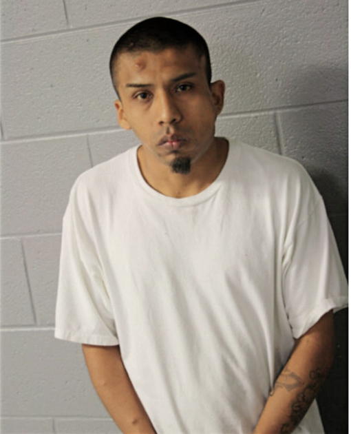 JESUS CRUZ, Cook County, Illinois