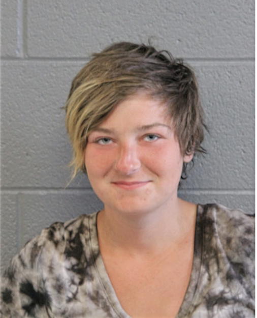 DANIELLE M DI CARLO, Cook County, Illinois