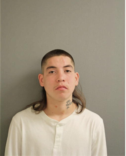 ERICK FLORES, Cook County, Illinois