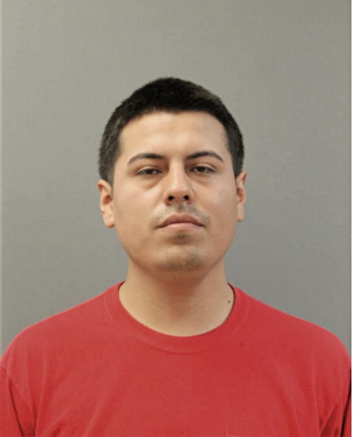 DANIEL GONZALEZ-HERNANDEZ, Cook County, Illinois