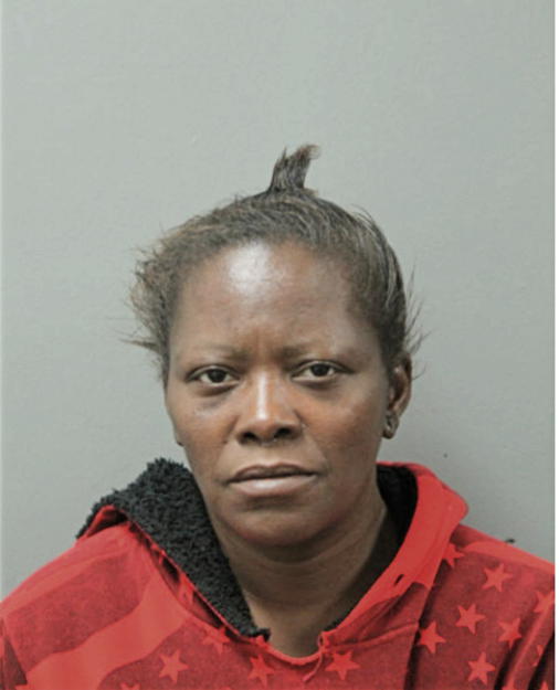 LISA ANN HILL, Cook County, Illinois