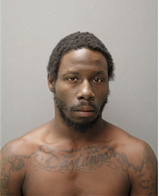 DAVID D HOUSER, Cook County, Illinois