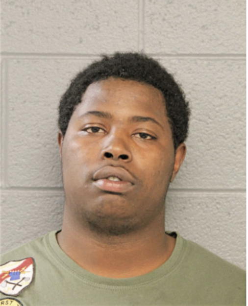 ETHAN JOHNSON, Cook County, Illinois